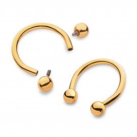 Initial Piercing  - 24k gold plated circular barbell
