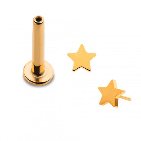 Initial Piercing  - 24k gold plated Star Labret