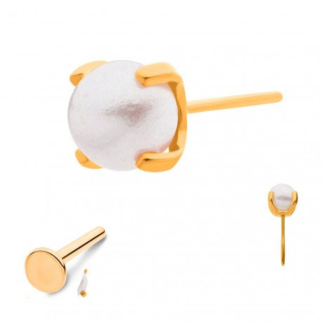 Initial Piercing  - 24K Labret with synthetic pearl top